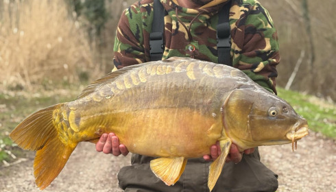 A fish from Brocard Large, Mar 2025