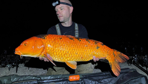 A carp from Brocard Large, Jun 2025