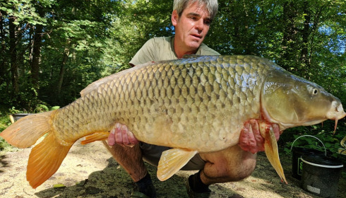 A carp from Brocard Large, Sep 2024