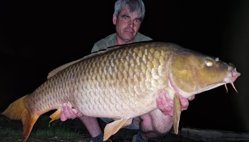 A carp from Brocard Large, Sep 2024