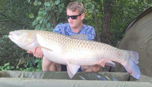 A grass carp from Brocard Large, Sep 2023