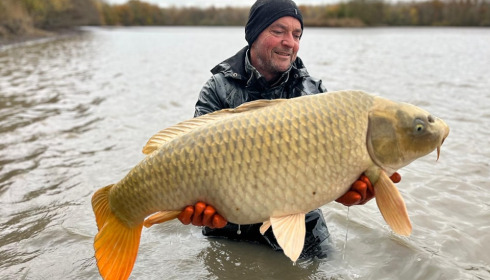 A carp from Brocard Large, Nov 2024