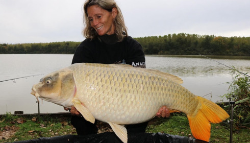 A carp from Brocard Large, Oct 2023