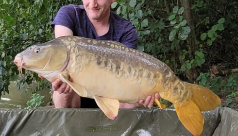 A carp from Brocard Large, Sep 2023