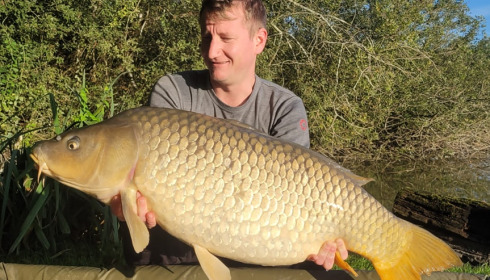 A carp from Brocard Large, Sep 2023