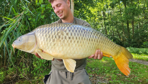 A carp from Brocard Large, Aug 2023