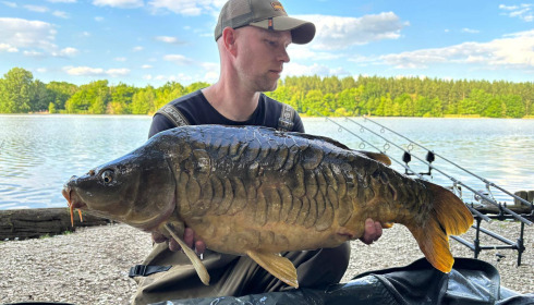 A carp from Brocard Large, Jun 2025