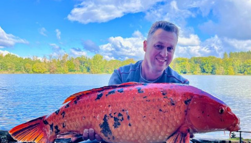 A carp from Brocard Large, Oct 2024