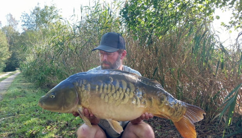 A carp from Brocard Large, Oct 2023