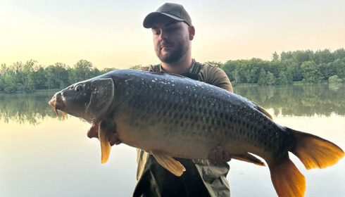 A carp from Brocard Large, Jun 2024