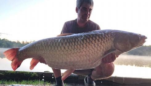 A grass carp from Brocard Large, Sep 2024