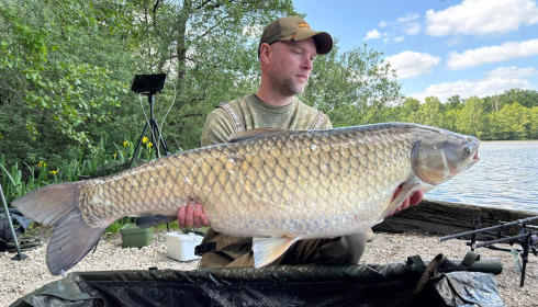 A carp from Brocard Large, Jun 2025