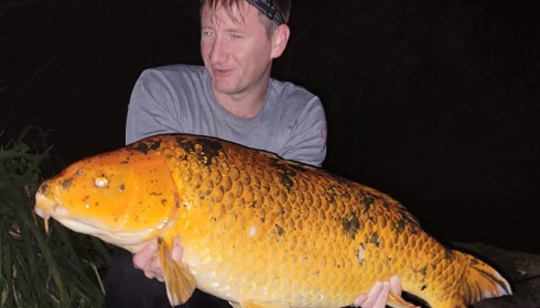 A carp from Brocard Large, Sep 2023
