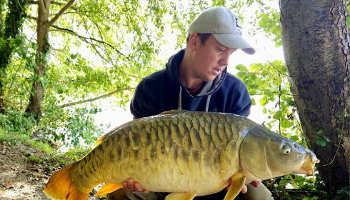 A carp from Brocard Large, Oct 2023