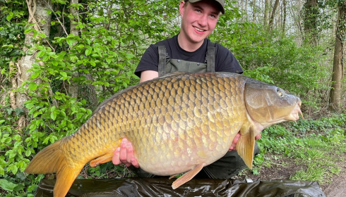 A carp from Brocard Large, Apr 2024