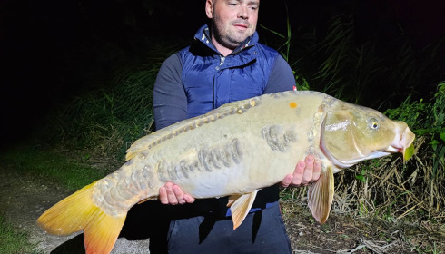 A carp from Brocard Large, Sep 2024