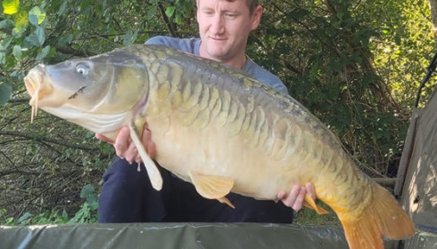 A carp from Brocard Large, Sep 2023