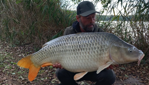A carp from Brocard Large, Oct 2023