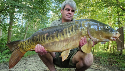 A carp from Brocard Large, Sep 2024