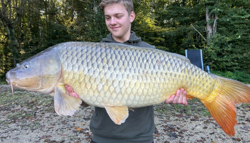 A carp from Brocard Small, Sep 2023