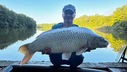 A carp from Brocard Small, Aug 2024