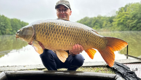 A carp from Brocard Small, Aug 2024