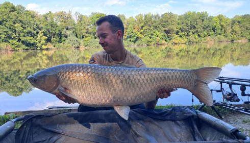 A grass carp from Brocard Small, Sep 2023