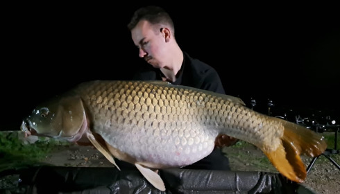 A carp from Brocard Small, Sep 2023