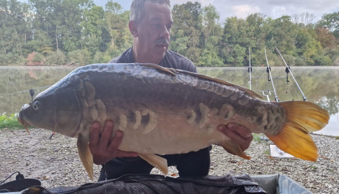 A carp from Brocard Small, Sep 2023