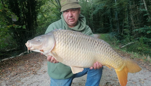 A carp from Brocard Small, Oct 2023