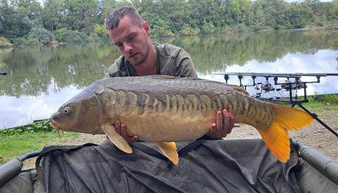 A carp from Brocard Small, Sep 2023