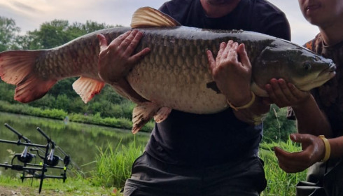 A 51 lb fish from Cailleaux, Grass Carp Good job my nephew who is a lot fitter than me was there to help, Jul 2024
