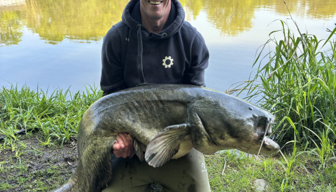 A carp from Cailleaux, Apr 2025