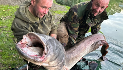 A fish from Cailleaux, Catfish peg 3, Sep 2024