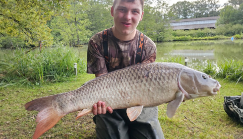 A fish from Cailleaux, Harry, Jul 2024