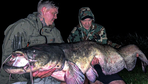 A fish from Cailleaux, Sep 2024