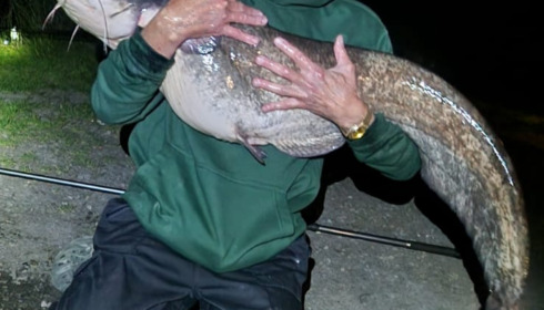 A 36 lb 5 oz fish from Cailleaux, Terry Breese, Jul 2024