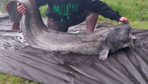A 90 lb catfish from Cailleaux, Damian Boczek, Jun 2024