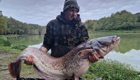 A 62 lb fish from Cailleaux, Catfish, Oct 2024