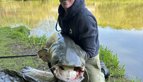 A carp from Cailleaux, Apr 2025