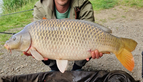 A 32 lb fish from Cailleaux, Daniel casling, Jul 2024