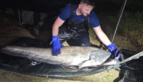 A 86 lb 8 oz fish from Cailleaux, Cat, Aug 2024