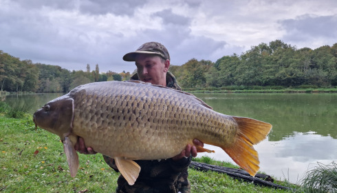 A 48 lb fish from Cailleaux, Common carp, Oct 2024