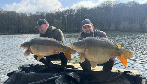 A carp from Carp House, Mar 2025