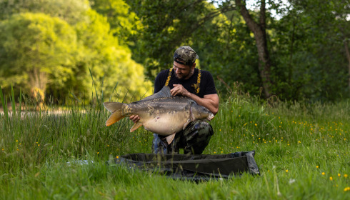 A carp from Carp House, May 2025