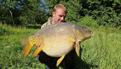 A carp from Carp House, Aug 2025