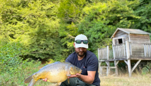 A carp from Carp House, Aug 2025