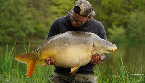 A carp from Carp House, May 2025
