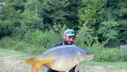 A carp from Carp House, Aug 2025