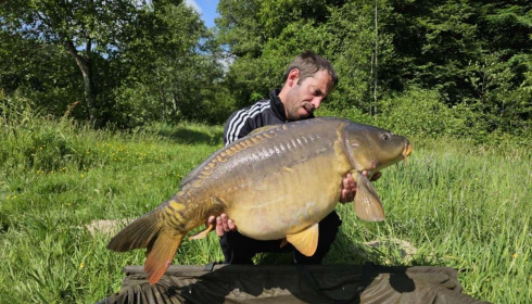 A carp from Carp House, Aug 2025